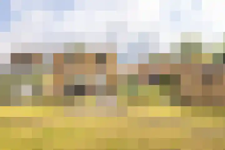 Hoeferpark 28 Beek thumbnail 33