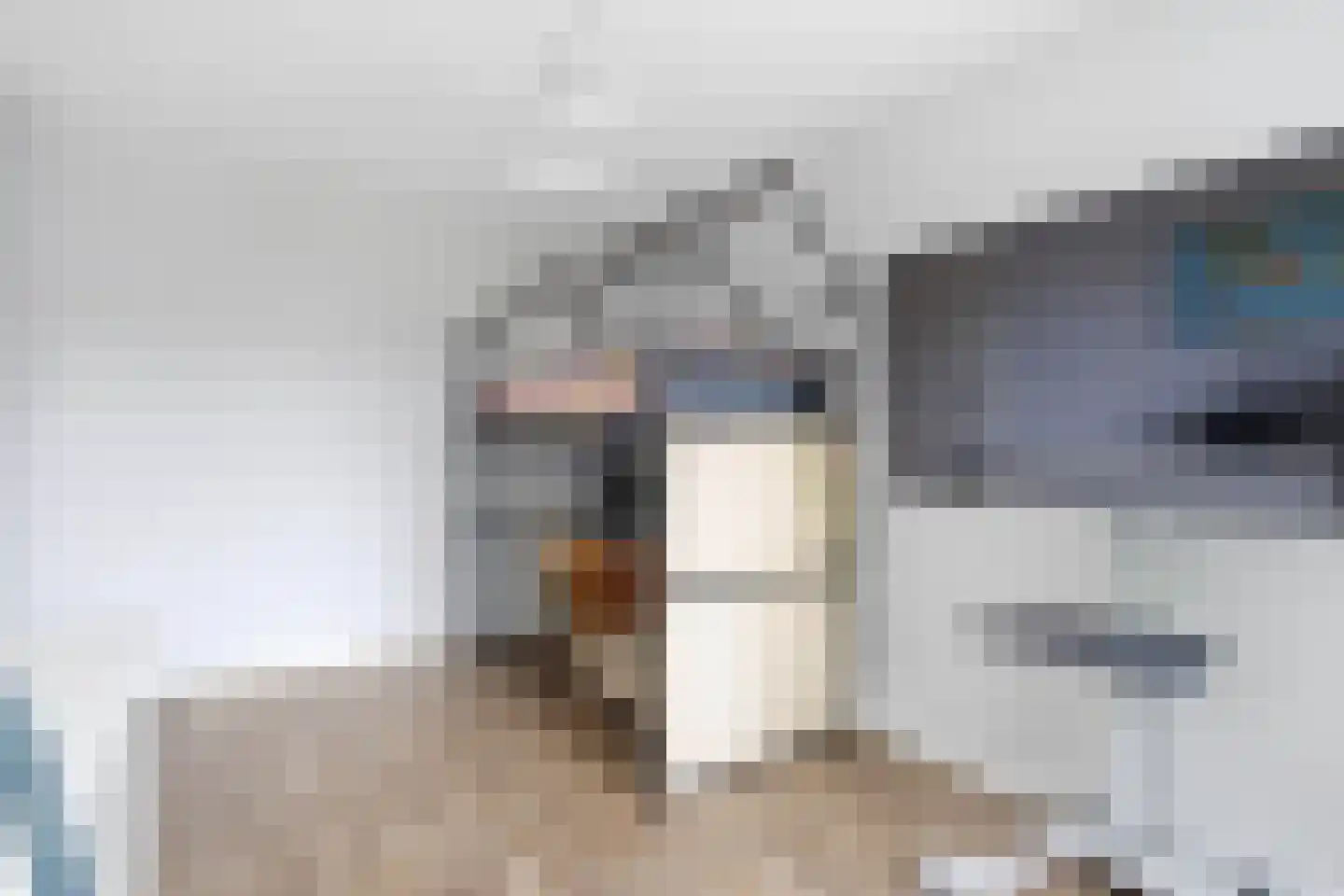 Hoefiezer 14 Vierlingsbeek thumbnail 15