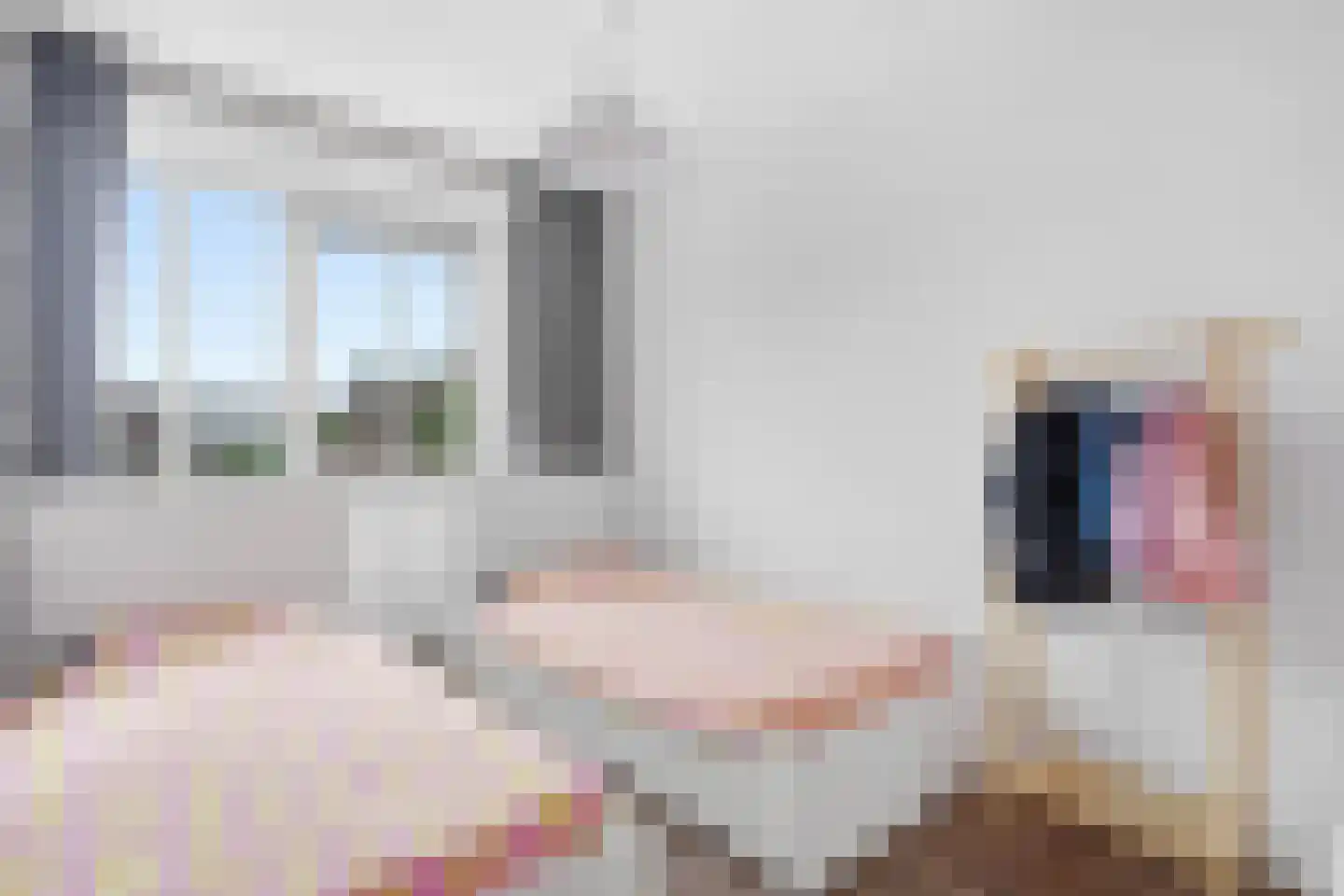 Hoefiezer 14 Vierlingsbeek thumbnail 21
