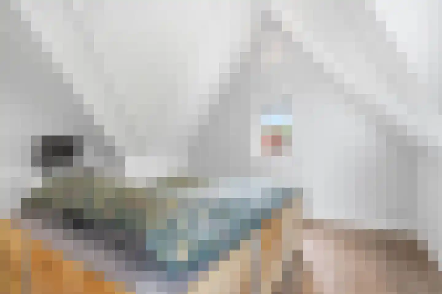 Hoefiezer 14 Vierlingsbeek thumbnail 26