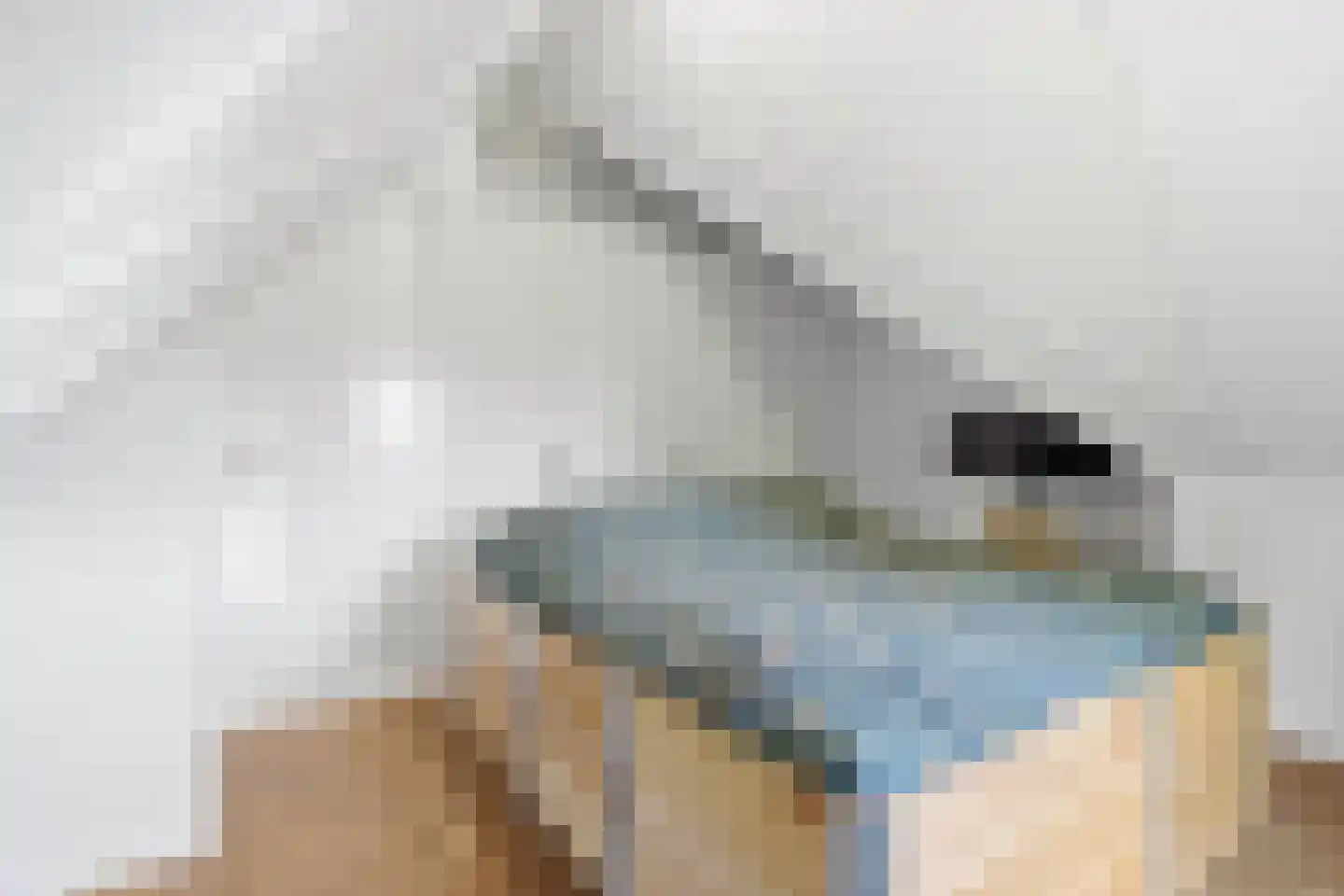 Hoefiezer 14 Vierlingsbeek thumbnail 27