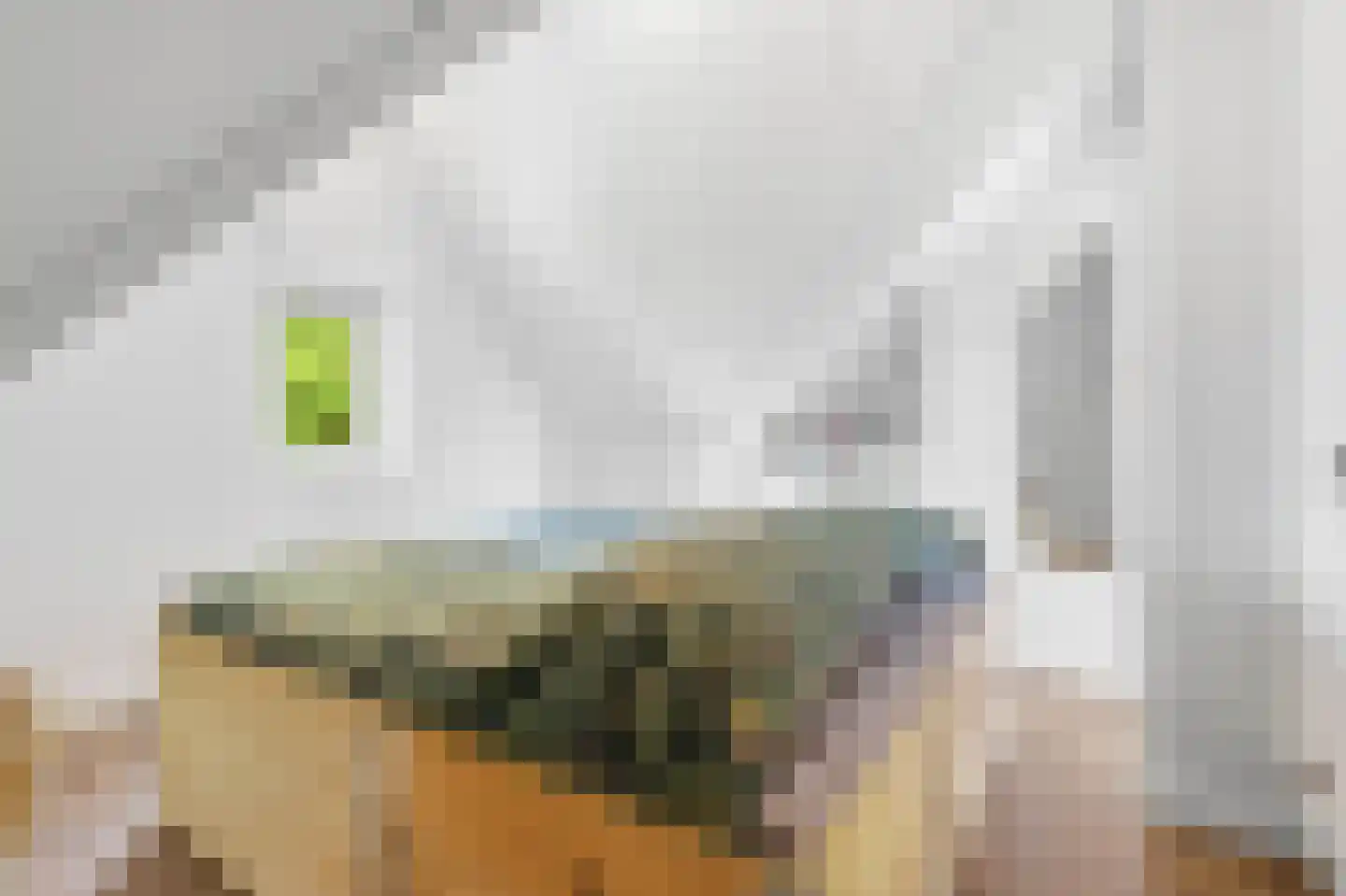 Hoefiezer 14 Vierlingsbeek thumbnail 28