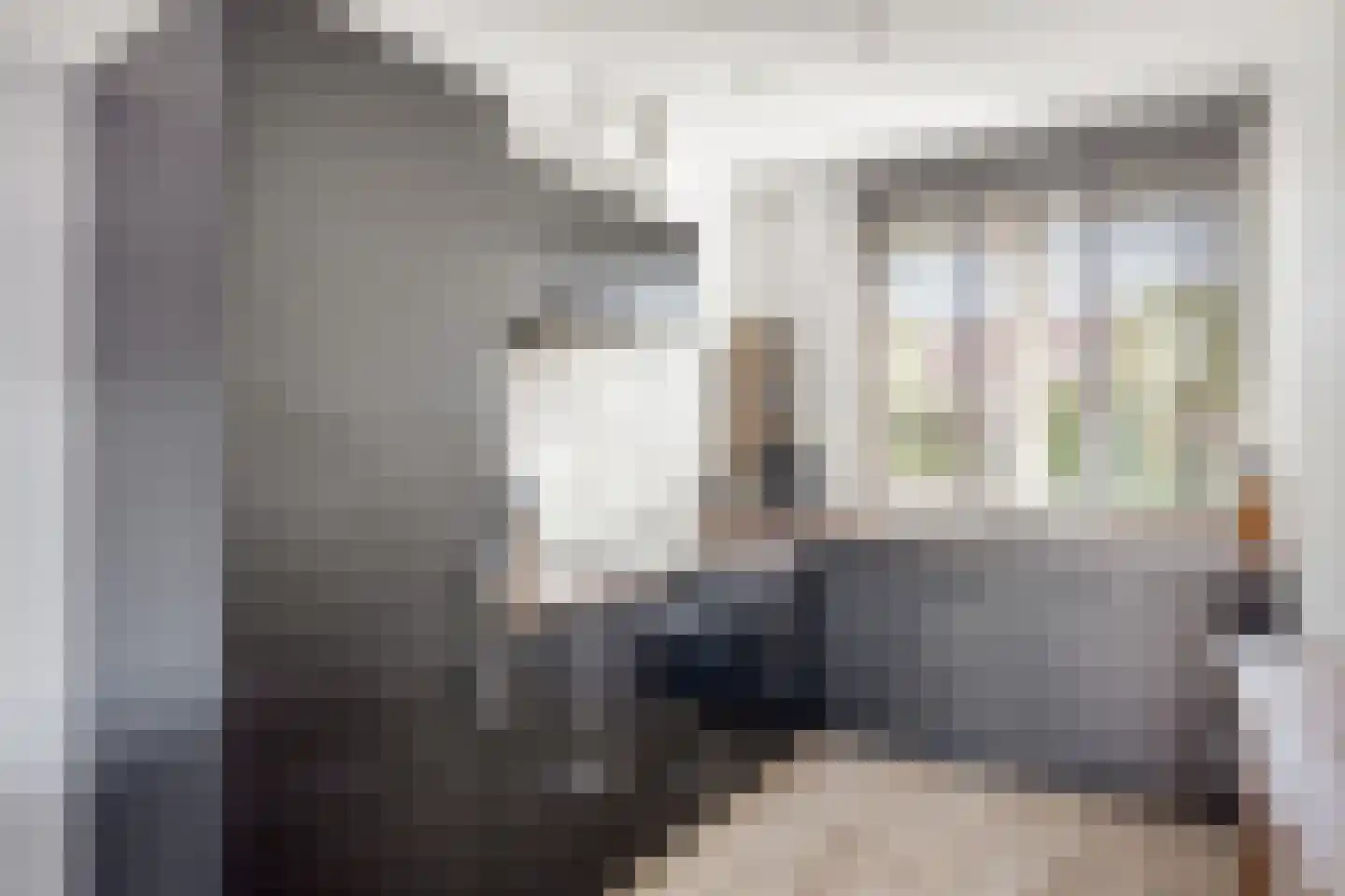Hoefiezer 4 Vierlingsbeek thumbnail 12