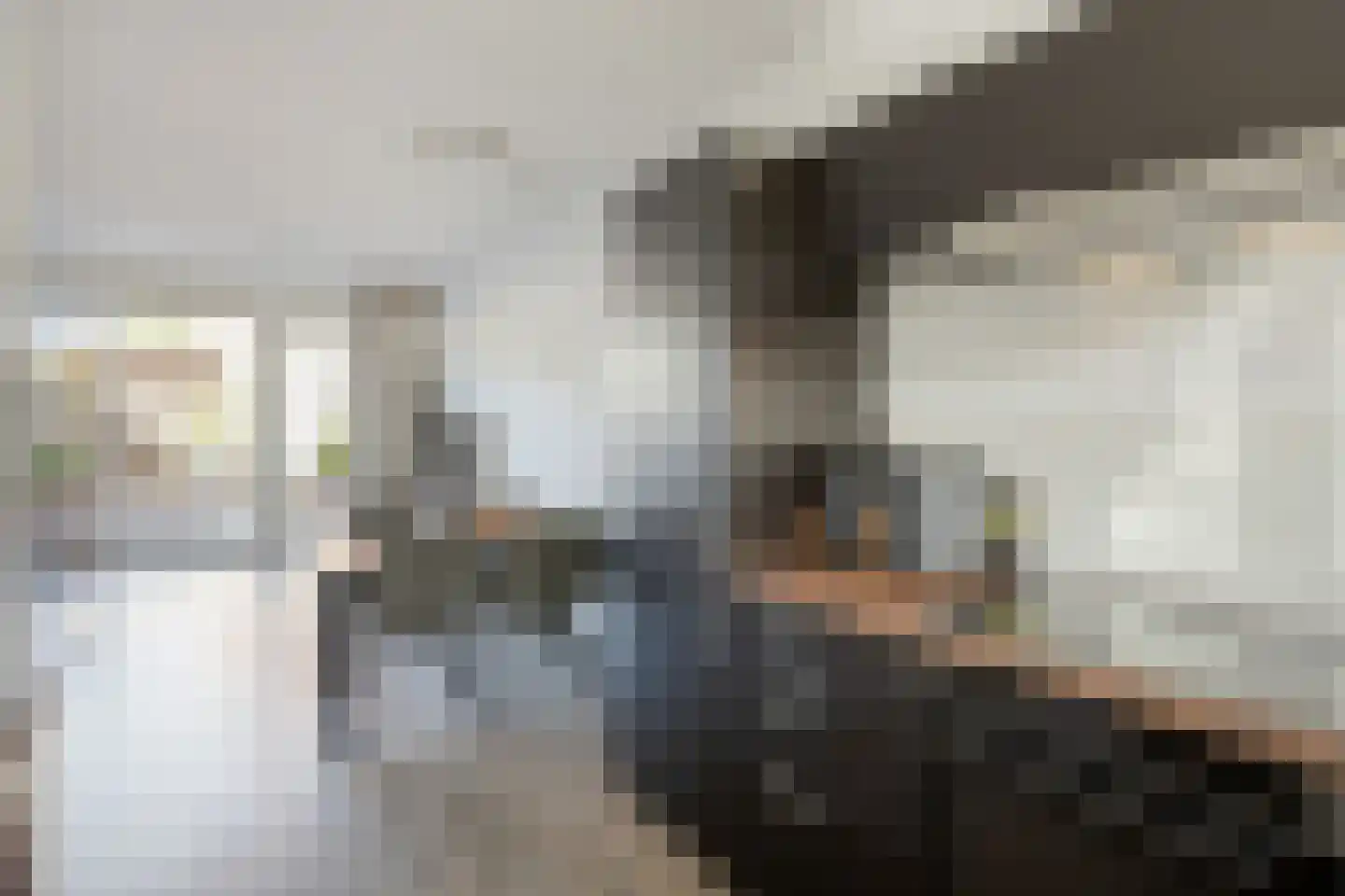 Hoefiezer 4 Vierlingsbeek thumbnail 14