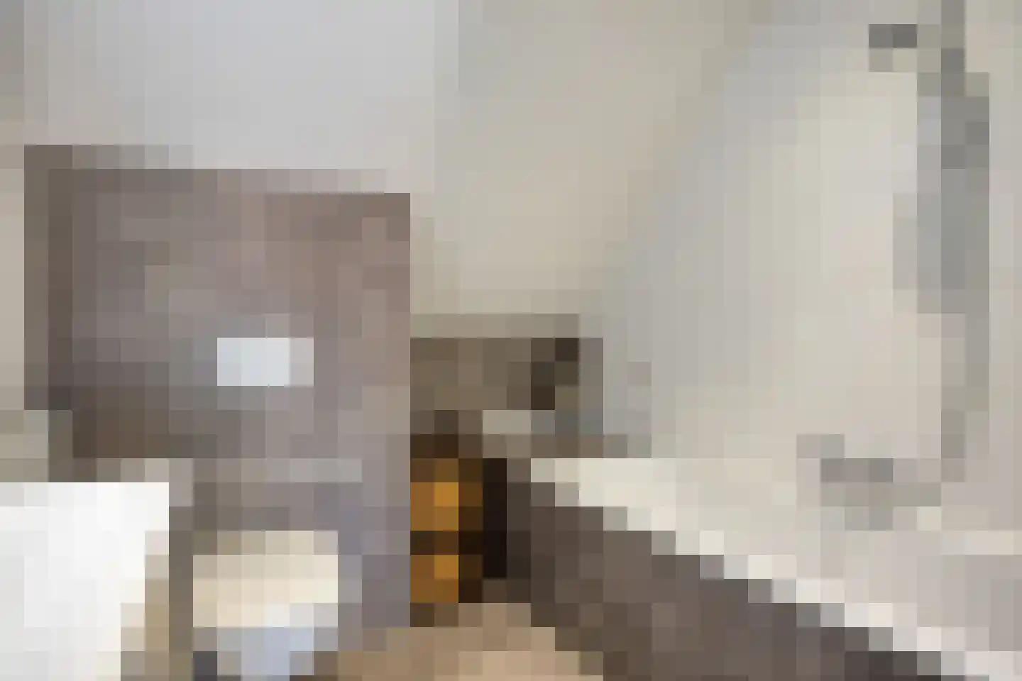 Hoefiezer 4 Vierlingsbeek thumbnail 22