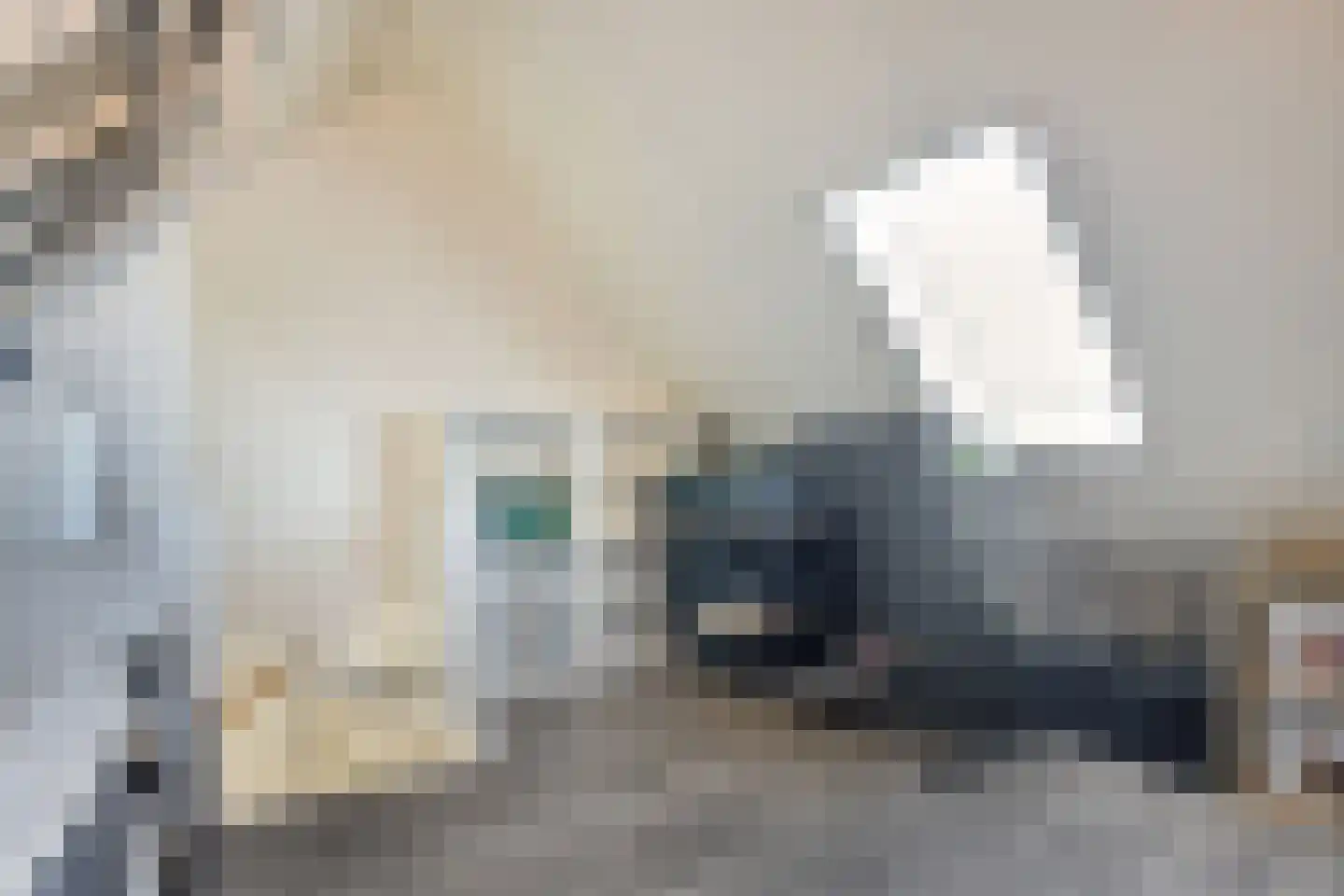 Hoefiezer 4 Vierlingsbeek thumbnail 25