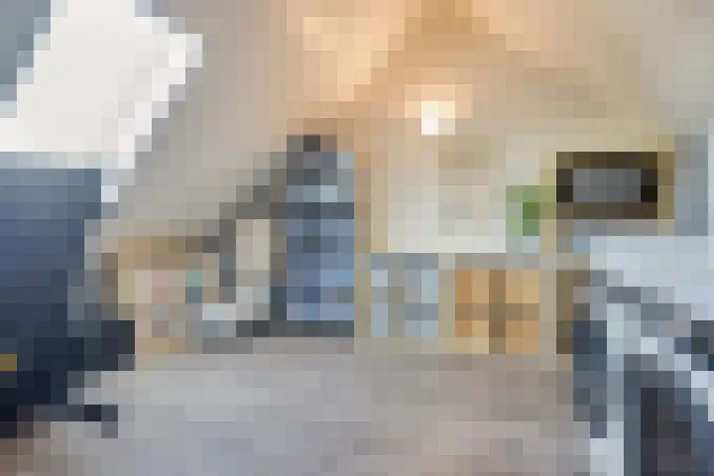 Hoefiezer 4 Vierlingsbeek thumbnail 27