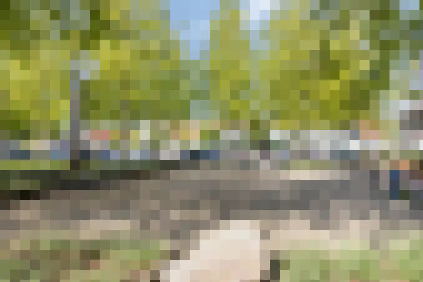 Hoefiezer 4 Vierlingsbeek thumbnail 30