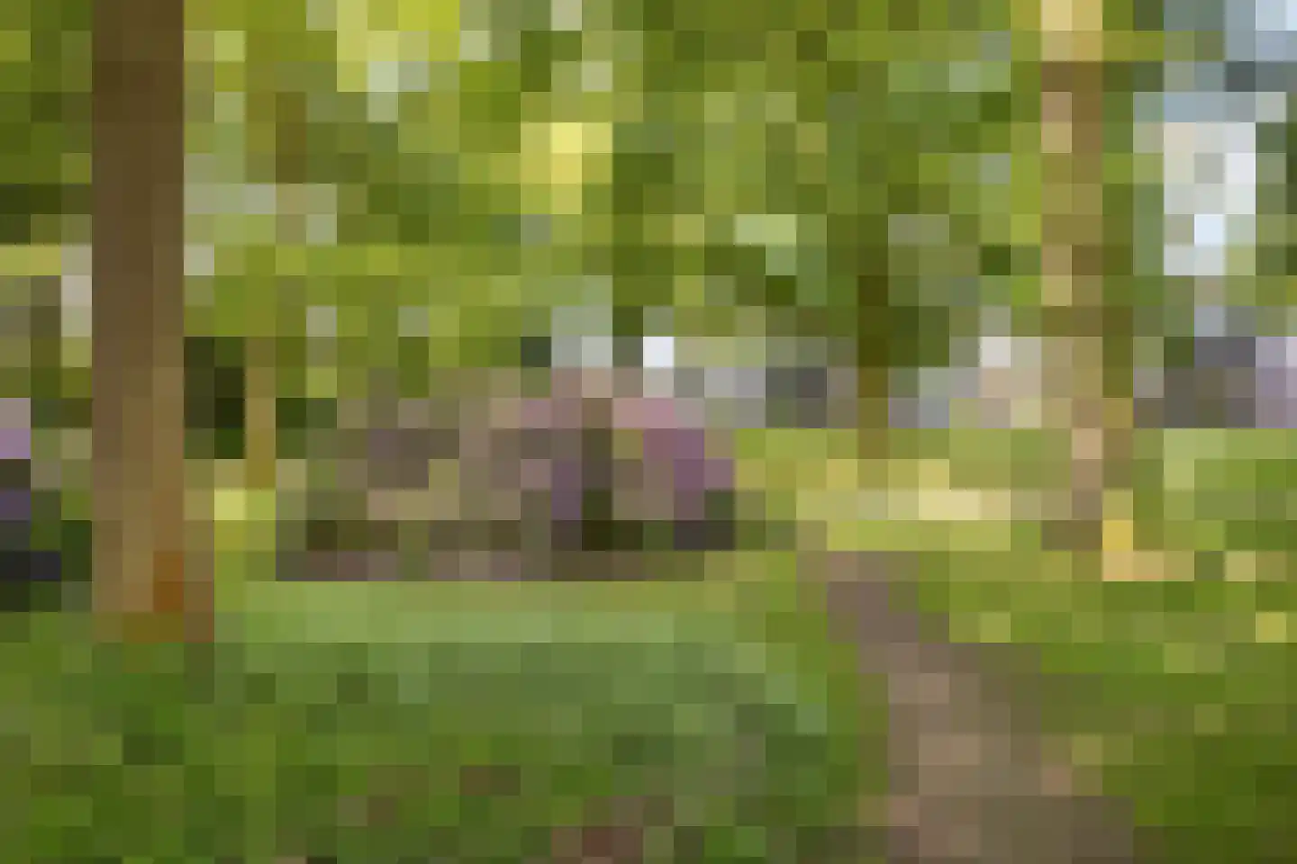 Hoefiezer 4 Vierlingsbeek thumbnail 33