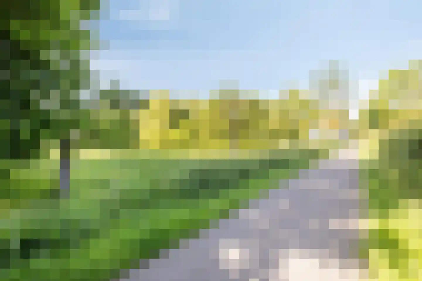 Hoefiezer 4 Vierlingsbeek thumbnail 34