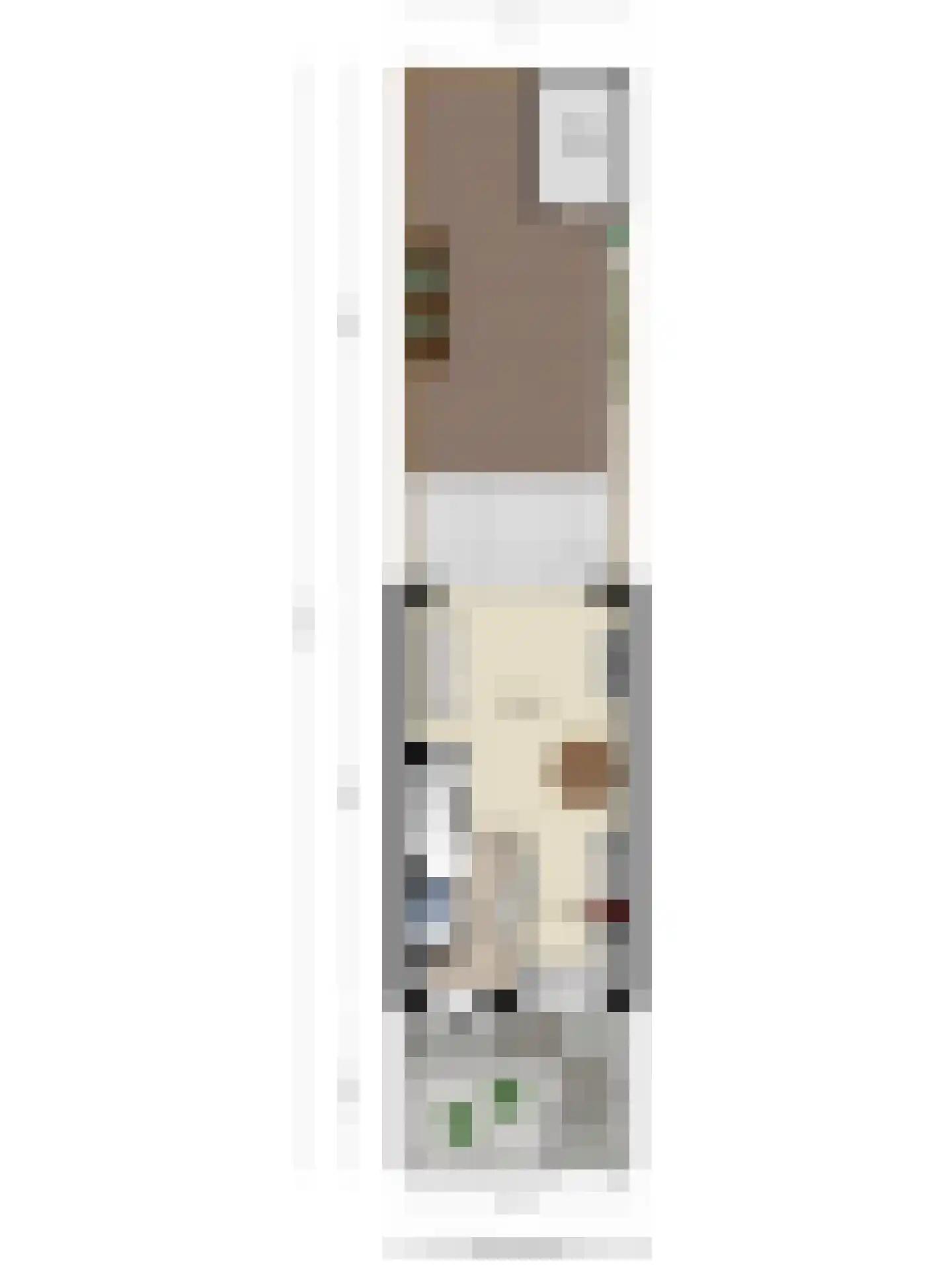 Hoefiezer 4 Vierlingsbeek thumbnail 35