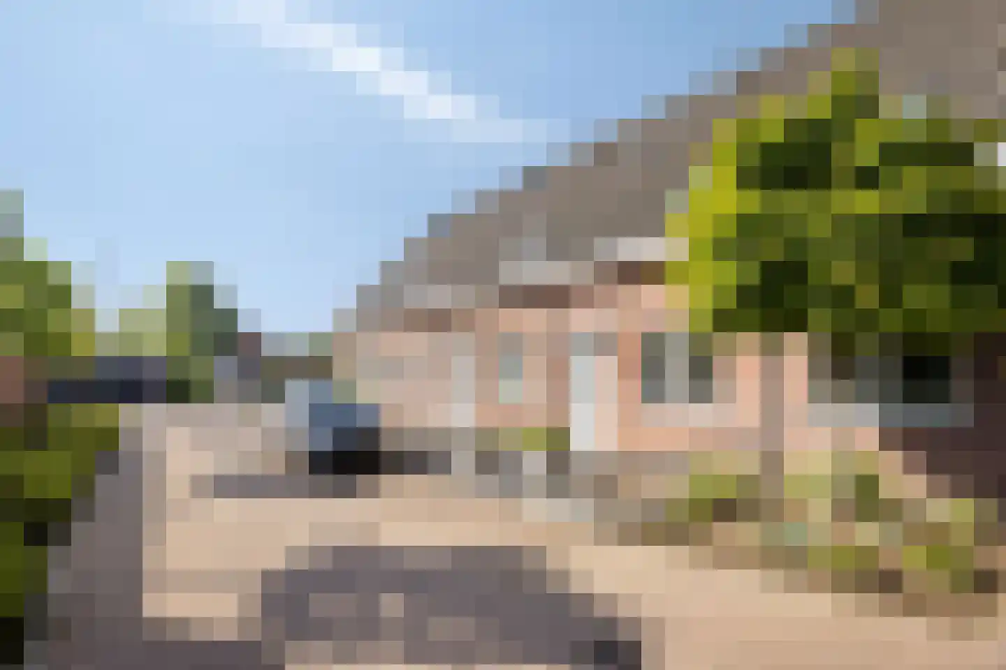 Hoefiezer 4 Vierlingsbeek thumbnail 5