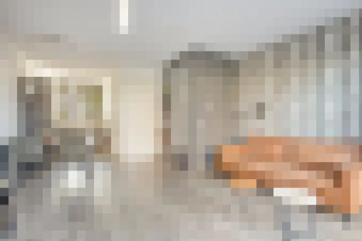Hoefiezer 4 Vierlingsbeek thumbnail 9