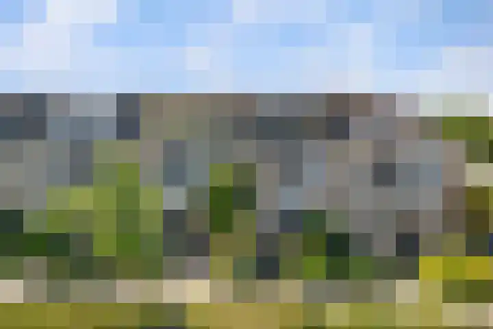 Hoefijzer 1 Ens thumbnail 13