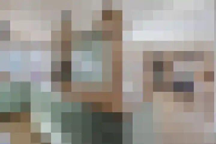 Hoefijzer 1 Ens thumbnail 18