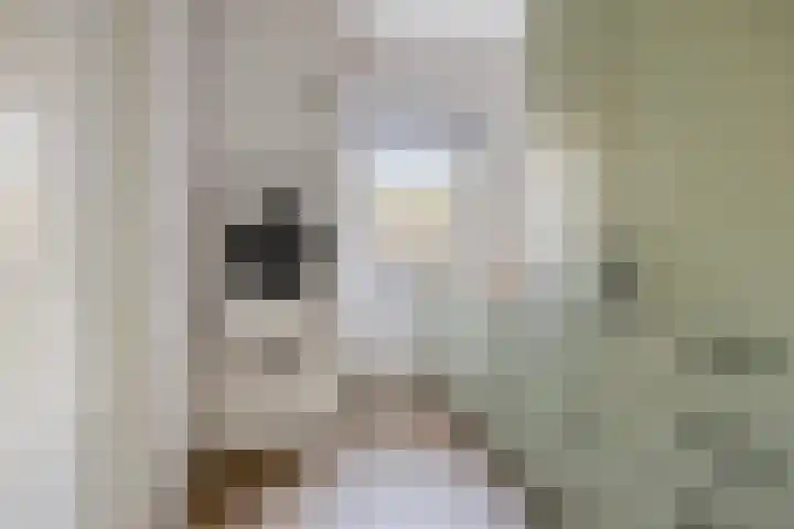Hoefijzer 1 Ens thumbnail 19