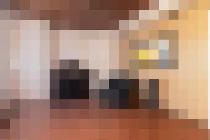 Hoefijzer 1 Ens foto 2