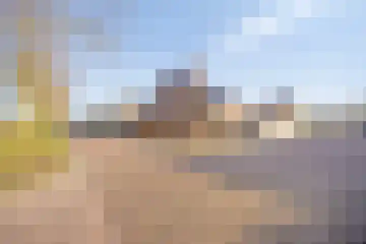 Hoefijzer 1 Ens foto 2