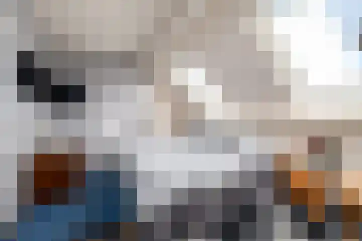 Hoefijzer 1 Ens thumbnail 20