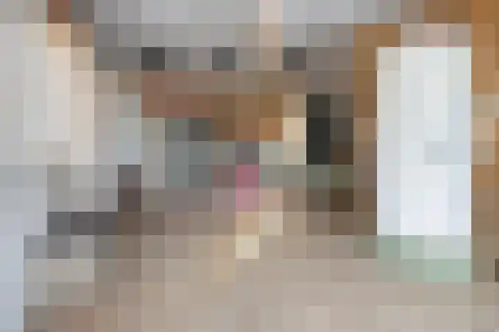 Hoefijzer 1 Ens thumbnail 21