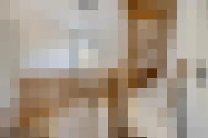 Hoefijzer 1 Ens thumbnail 28