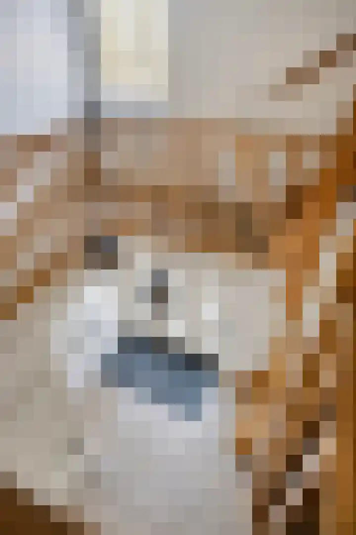 Hoefijzer 1 Ens thumbnail 29