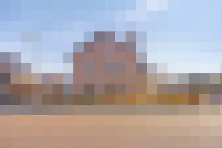 Hoefijzer 1 Ens foto 3