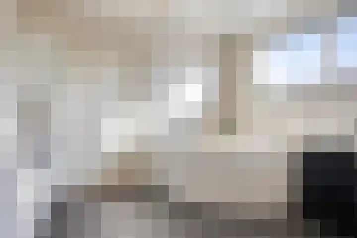 Hoefijzer 1 Ens thumbnail 33