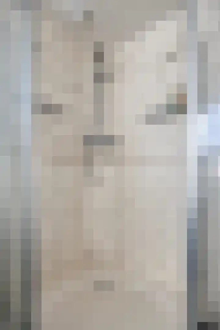 Hoefijzer 1 Ens thumbnail 35