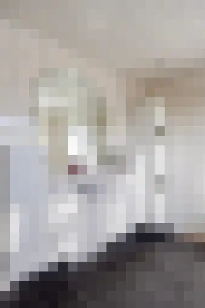 Hoefijzer 1 Ens thumbnail 36