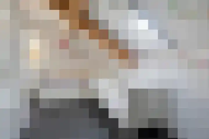 Hoefijzer 1 Ens thumbnail 42