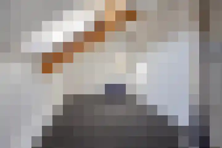 Hoefijzer 1 Ens thumbnail 43