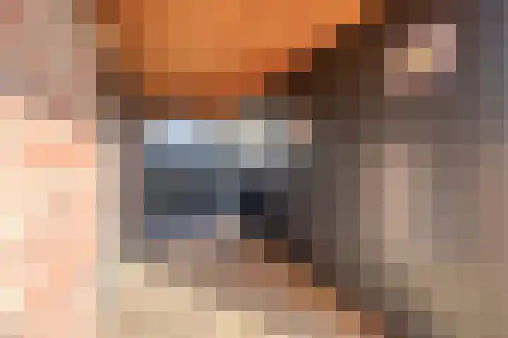 Hoefijzer 1 Ens thumbnail 46