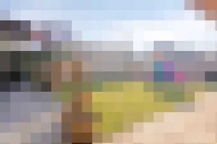 Hoefijzer 1 Ens thumbnail 47