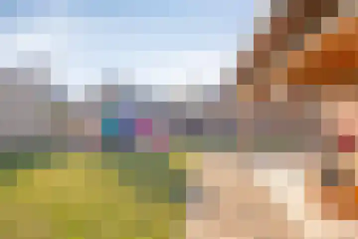 Hoefijzer 1 Ens thumbnail 48