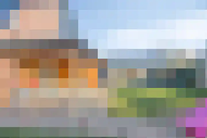 Hoefijzer 1 Ens thumbnail 49