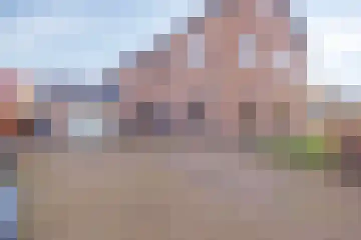 Hoefijzer 1 Ens thumbnail 5