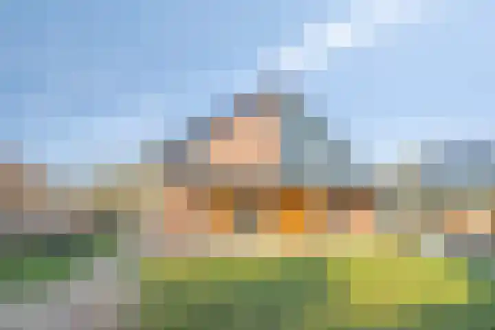 Hoefijzer 1 Ens thumbnail 50