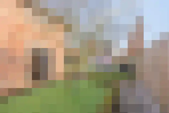 Hoefijzer 1 Ens thumbnail 51