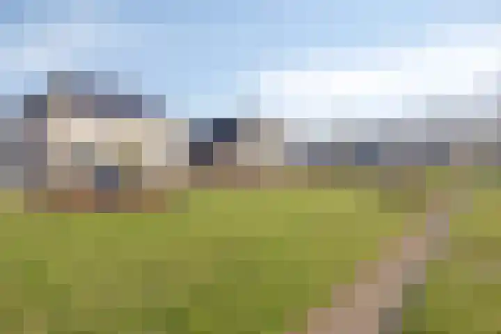 Hoefijzer 1 Ens thumbnail 53