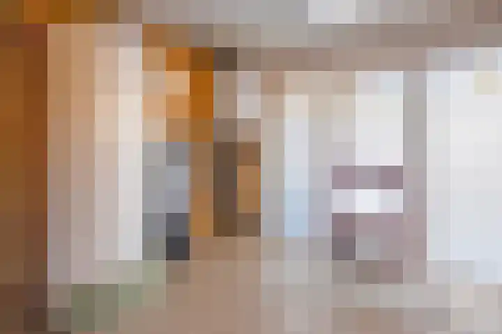 Hoefijzer 1 Ens thumbnail 54