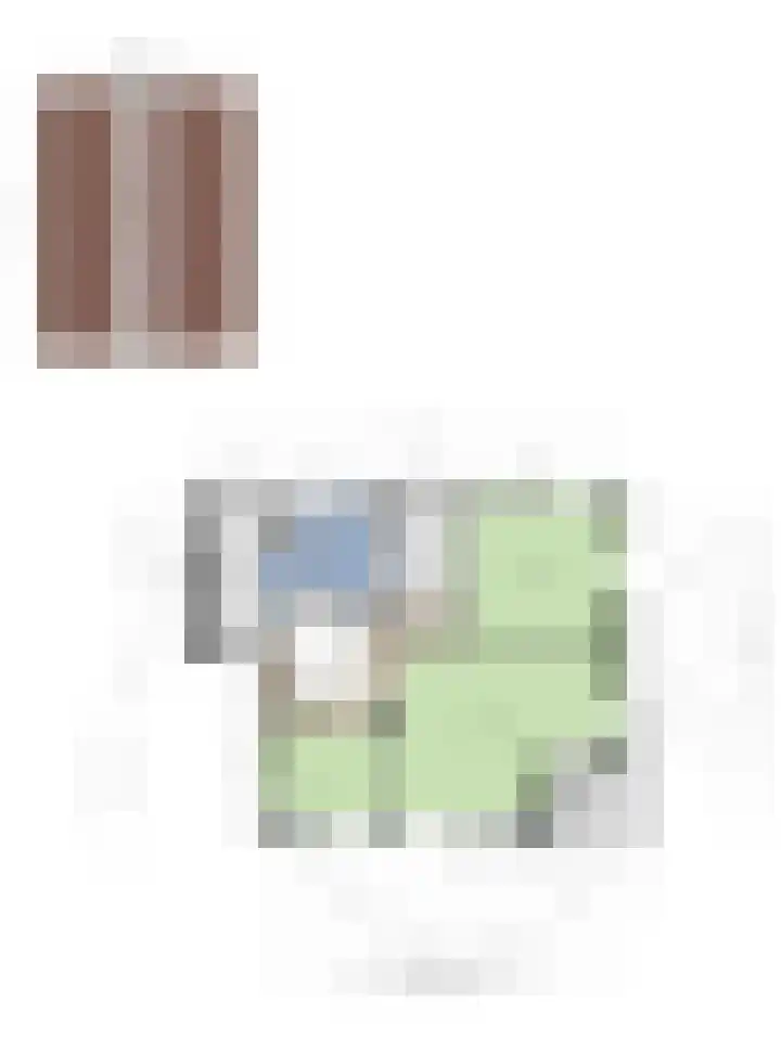 Hoefijzer 1 Ens thumbnail 56