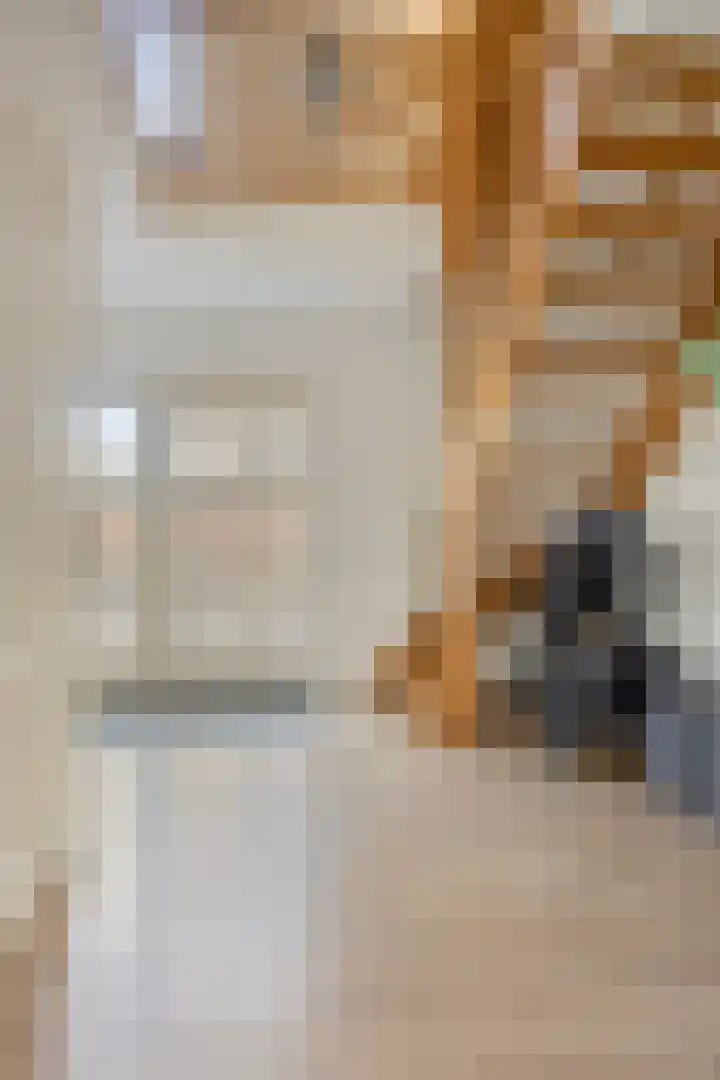 Hoefijzer 1 Ens thumbnail 8
