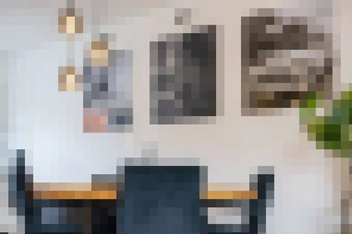 Hoefijzer 15 Zwaag thumbnail 13