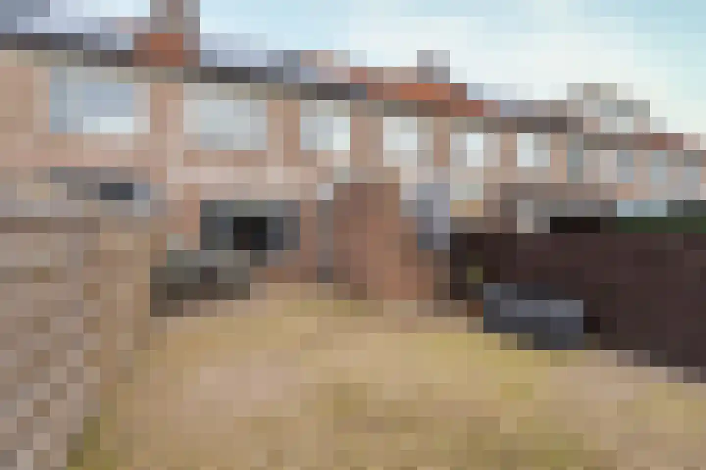 Hoefijzer 15 Zwaag thumbnail 14