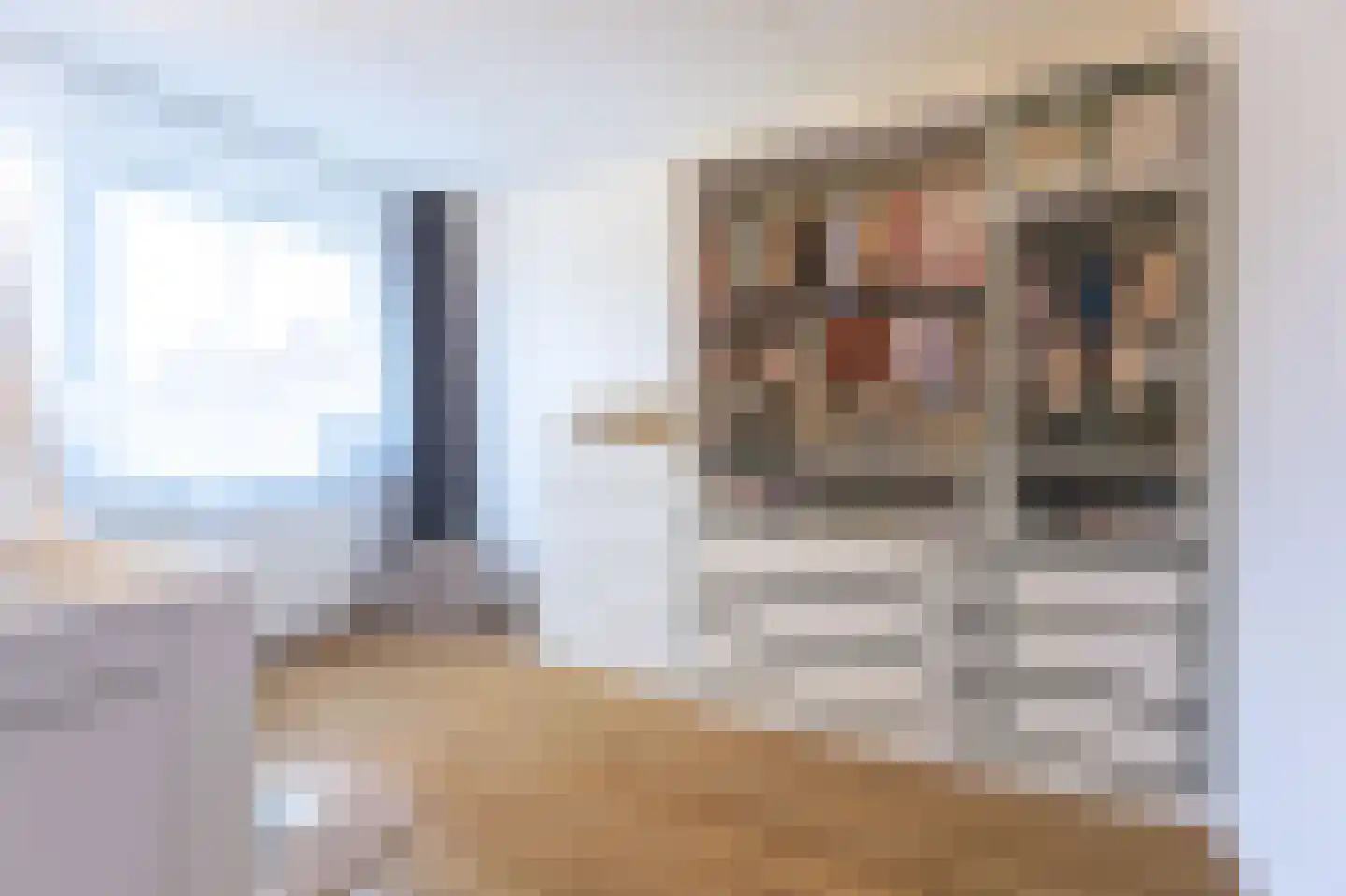 Hoefijzer 15 Zwaag thumbnail 19