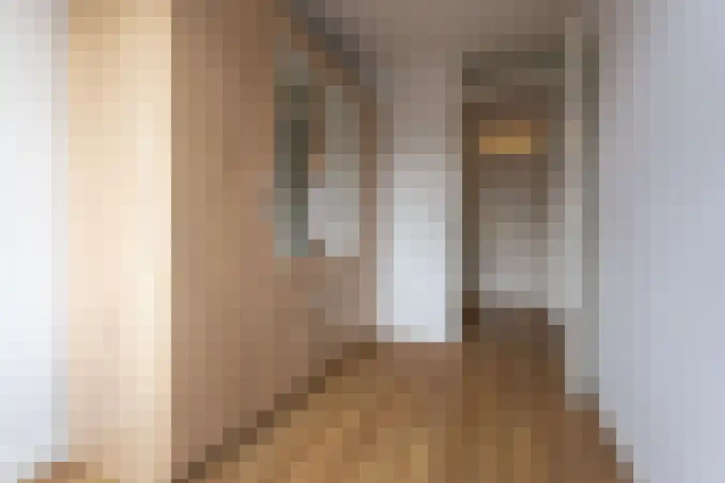 Hoefijzer 15 Zwaag thumbnail 23
