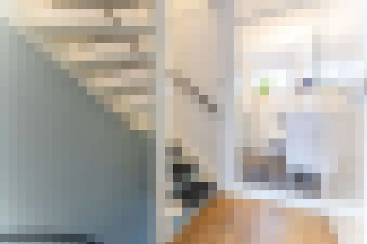 Hoefijzer 15 Zwaag thumbnail 26