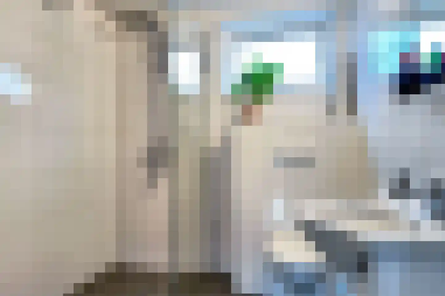 Hoefijzer 15 Zwaag thumbnail 27