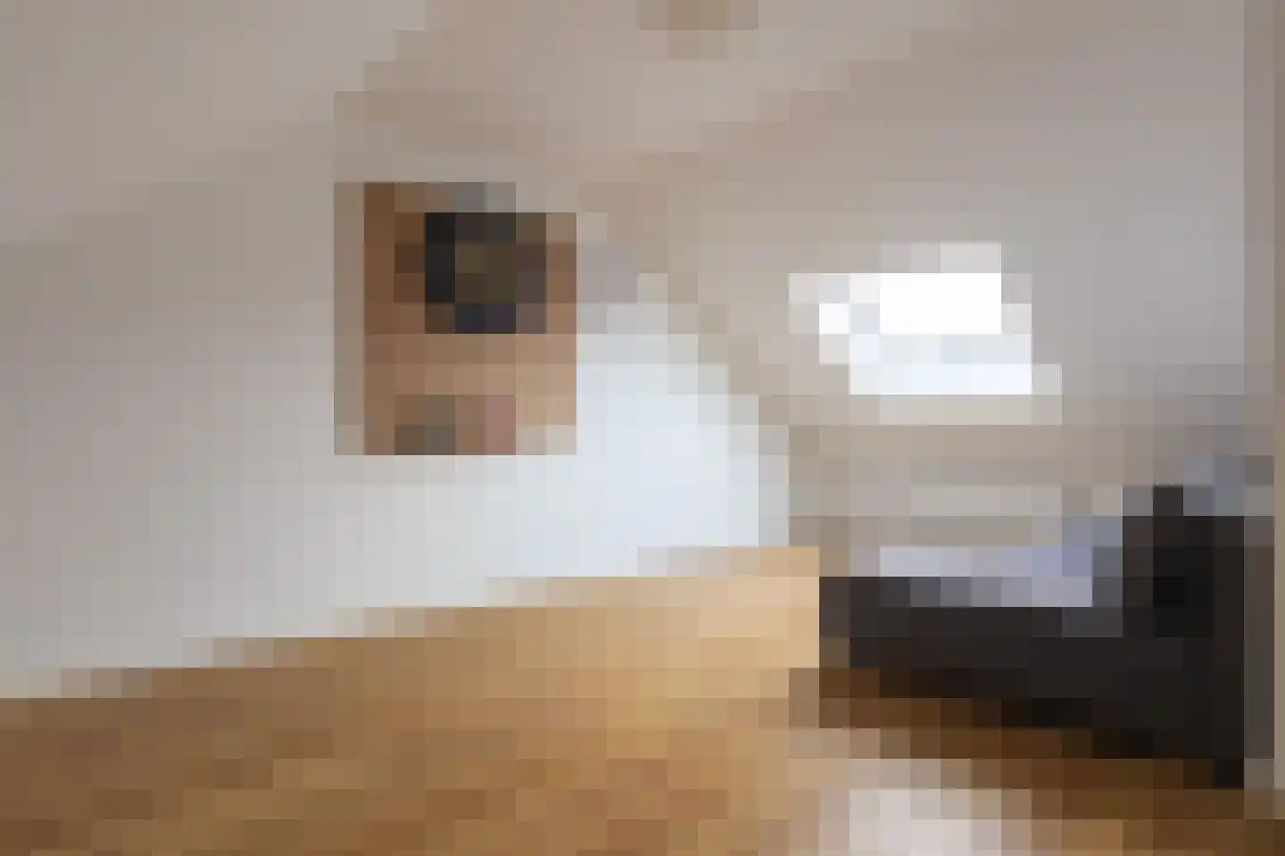 Hoefijzer 15 Zwaag thumbnail 28